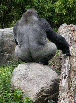 Turn around please? Just a couple photos ?