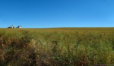Countryside