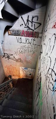 Stairwell on Canal St, Chinatown ~ New York City