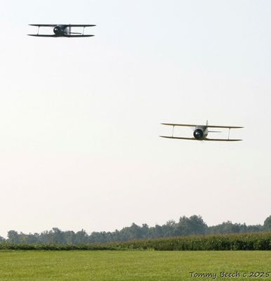 A pair of Beechcraft Staggerwings