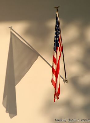 Memorial Day 2025 ~ Let's not become a mere shadow of our former self