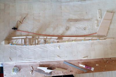 Aerofly_Fuselage_20190401_01 copy.jpg