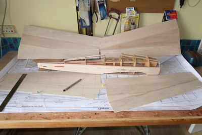 Bearcat_Fuselage and wing skins 22-04-12_02 copy.jpg