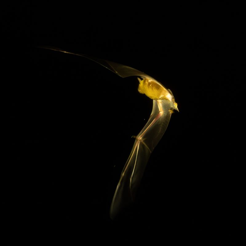 5E9A1701-Enhanced-NR.jpg