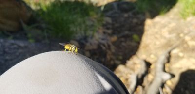 20230726_105407.jpg