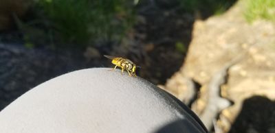 20230726_105415.jpg