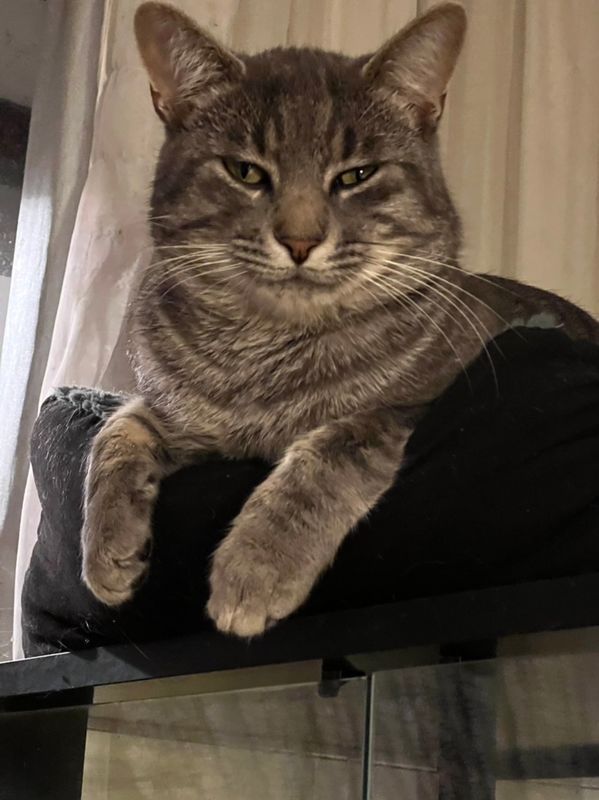 Rocky, novembre 2022