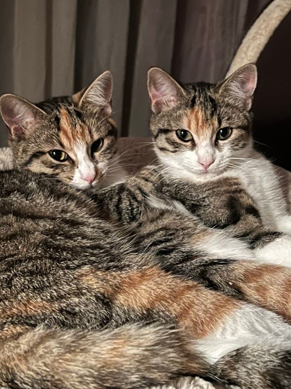 Les deux surs Ruby passent toujours la nuit ensemble