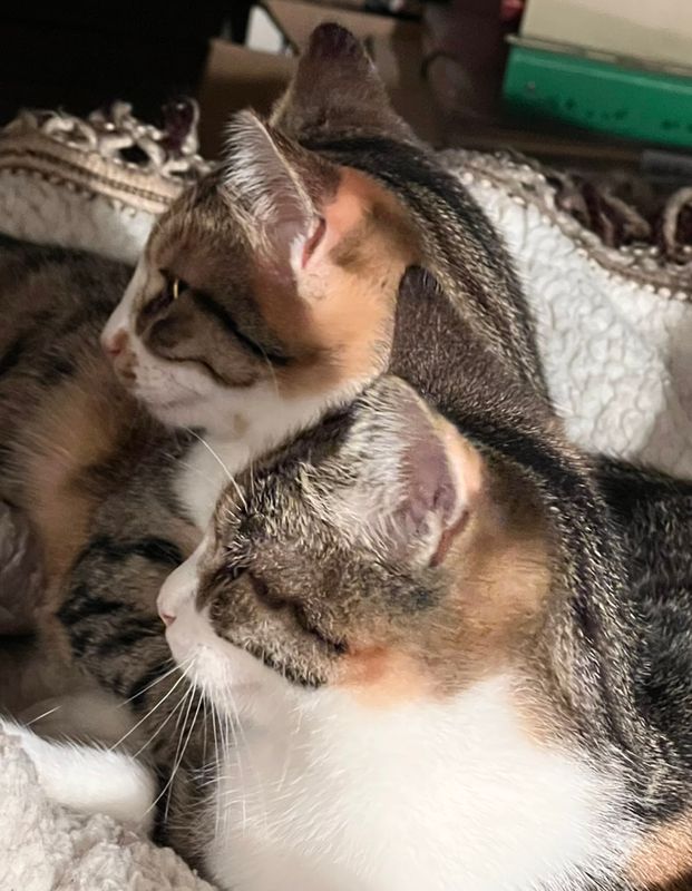 Rubyblanche et Rubychrome