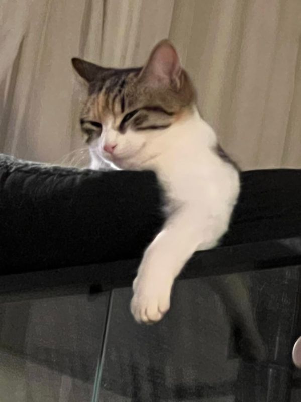 Rubyblanche