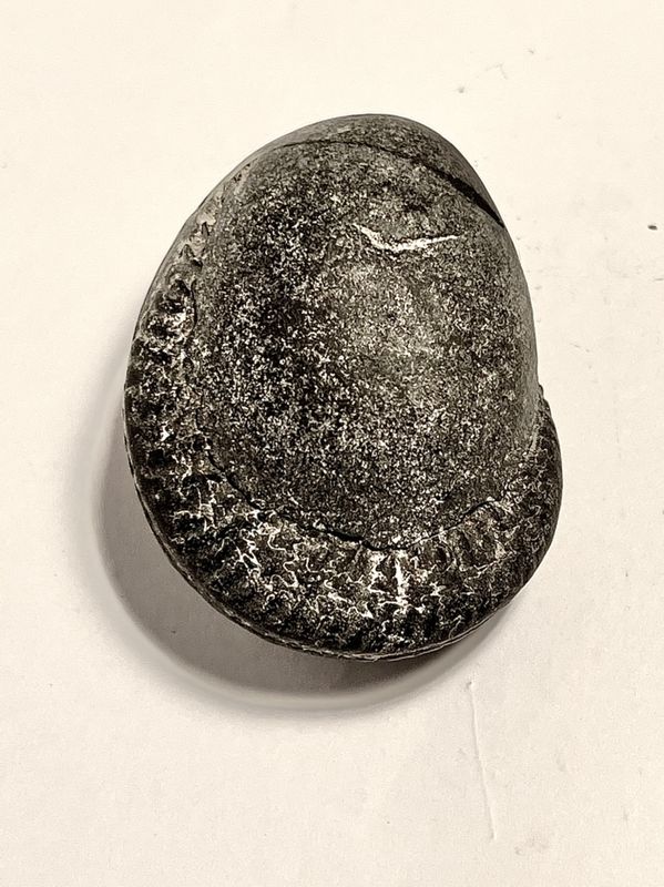 Caillou de rivire cachant une ammonite
