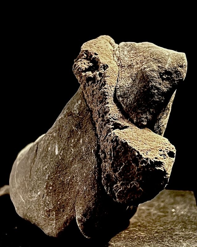 Calcaire intgrant une roche magmatique