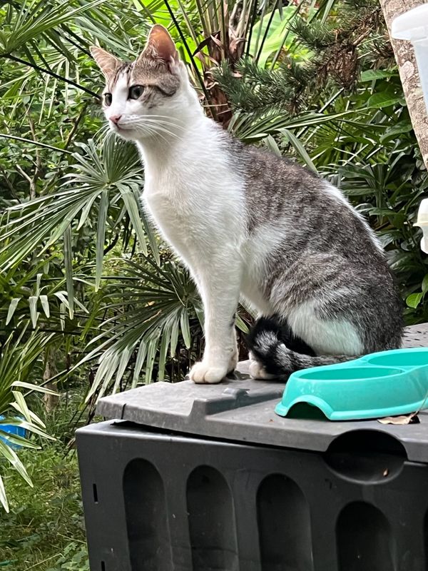 Le beau Marco