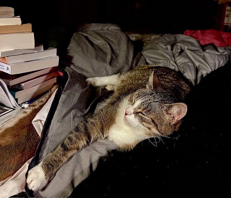 Le sommeil complice de Nickie
