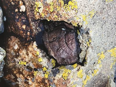Inclusion dans un bloc de dacite (Volcan Ossau)  