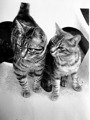 Sacha et Rocky