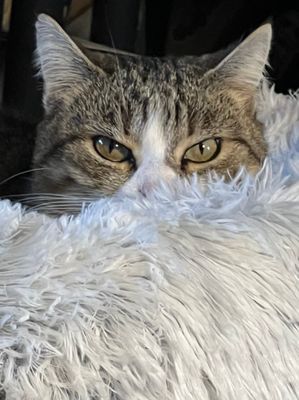 Nickie en observation