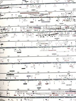 Fragment d’ADN humain**(La formule complète comporte une trentaine de panneaux).