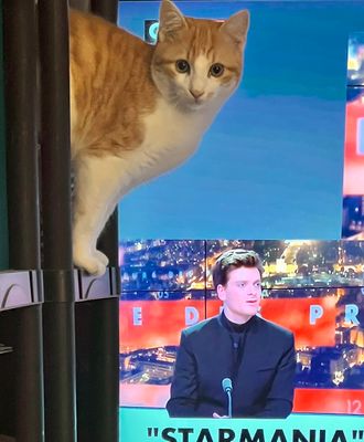 Louis passe à la télé !