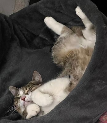 Nickie s’y connaît en confort !