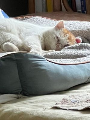 Jérôme est rentré se reposer quelques instants dans la maison
