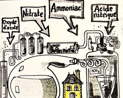 Chimie de base de l’azote