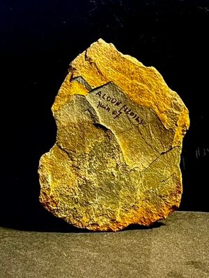 Juin 2007 : feuille de schiste de l’Aloun