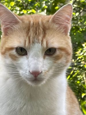 Louis a grandi, ça se voit !