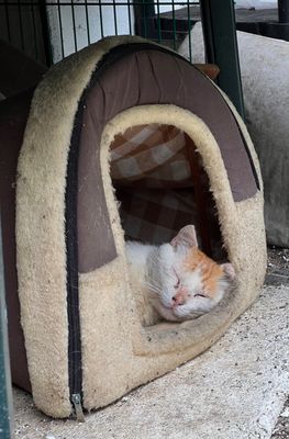 Jérôme a trouvé une petite maison