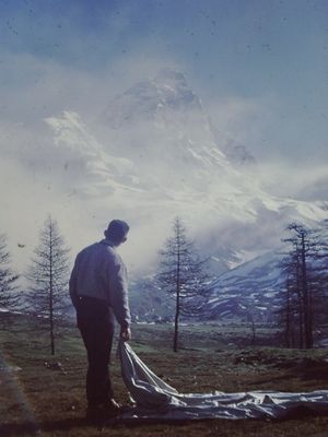 1954 Et dire qu'il faut retrouver cette famille de merde