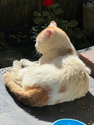 Petit bain de soleil pour Jérôme