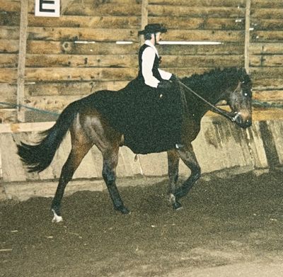 Elisabeth partage son départ à la retraite avec son cheval