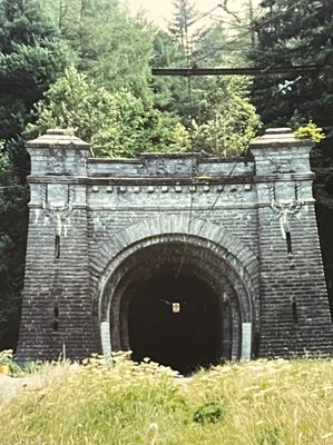 Lun des tunnels de lancienne ligne Pau-Canfranc