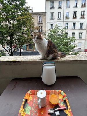 IMG_4193.jpeg