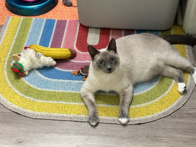 Benny
