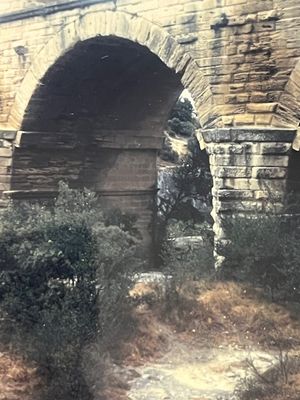 IMG_2736.jpeg