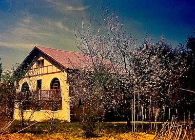 La Petite Maison