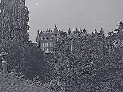 IMG_2812.jpeg