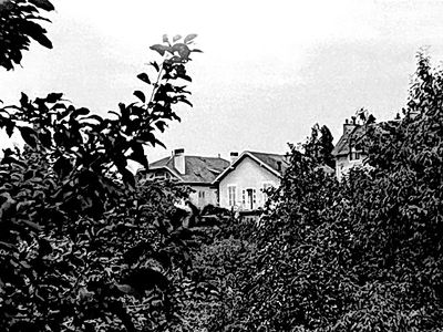 IMG_2808.jpeg