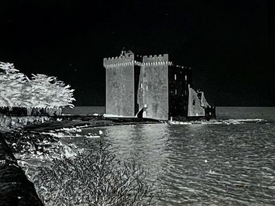 IMG_2803.jpeg