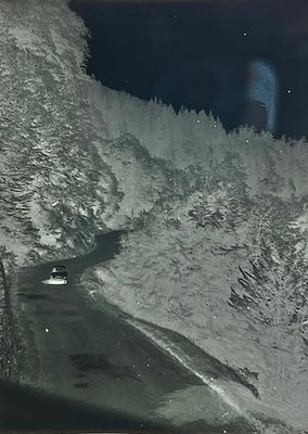 IMG_2849.jpeg