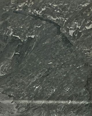 IMG_2980.jpeg