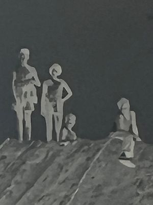 IMG_2972.jpeg