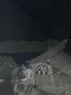 Gourette : htel Edelweiss