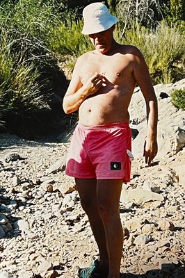 Zebro dans la Sierra de Guara