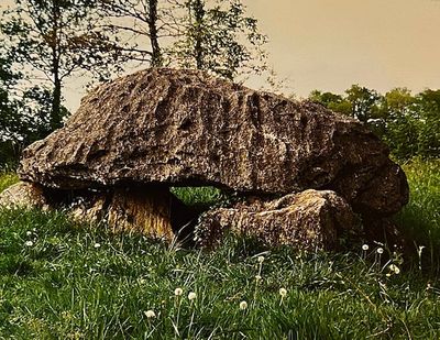 Dolmen de Buzy (64)