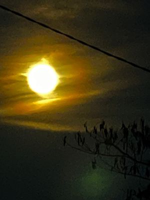 La Lune du Castor