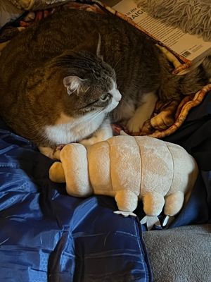 Nickie a adopté la peluche tardigrade