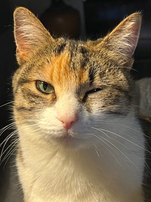 Ruby va bientôt s'endormir