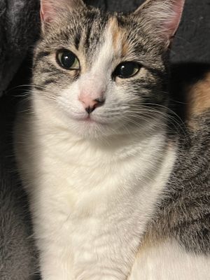 Ruby
